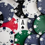 化繁为简的轮盘下注玩法-白菜新闻网-白菜社区-免费彩金