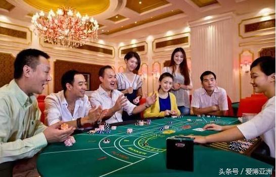 龙虎斗高赔付局分析与抓点下注法：制胜策略全揭秘-白菜新闻网-白菜社区-免费彩金